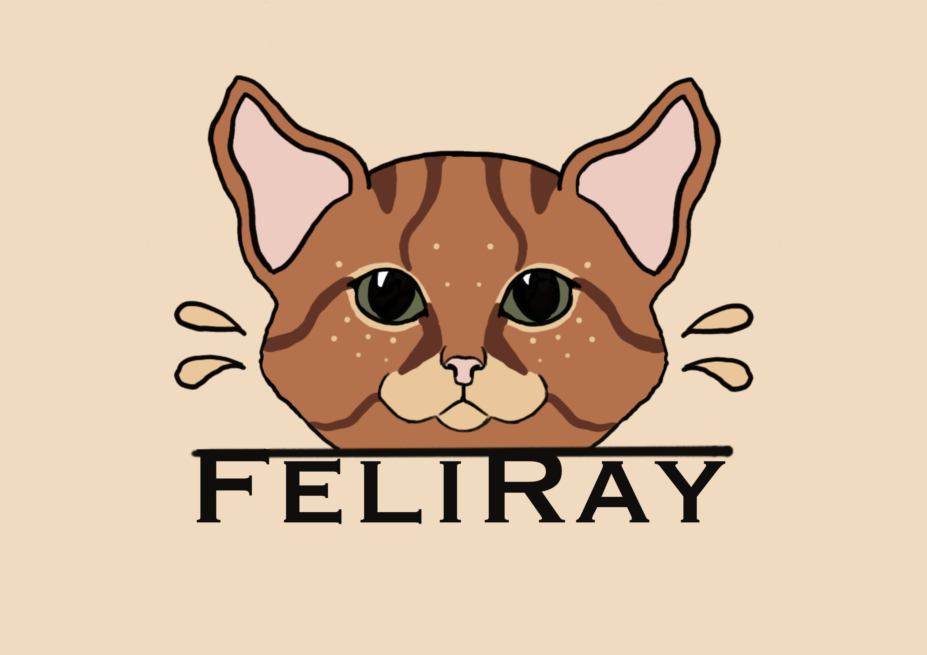 FeliRay logo prototype