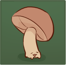 mushroom
