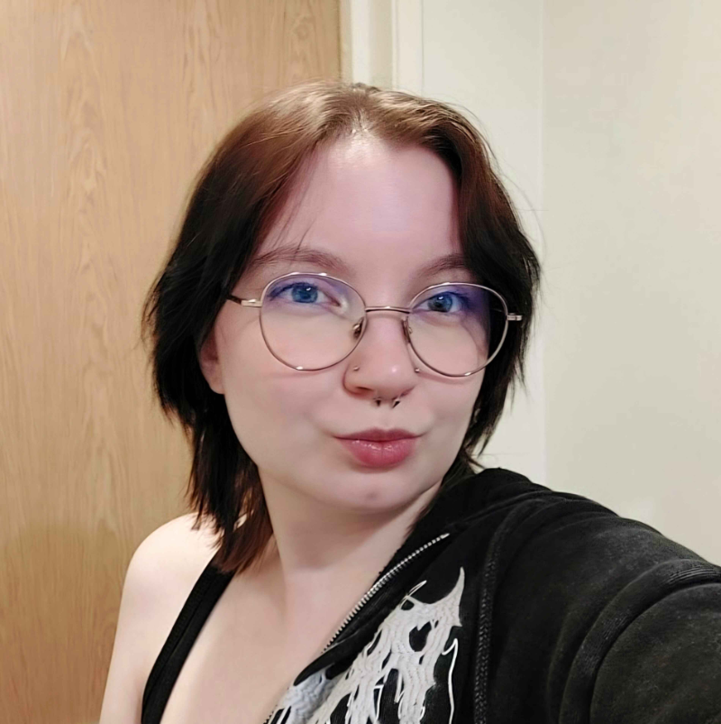 Developer picture