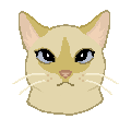 Name 1