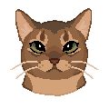 Name 5